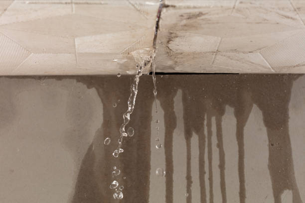 Professional Water Extraction technician working in Kingsville, MO